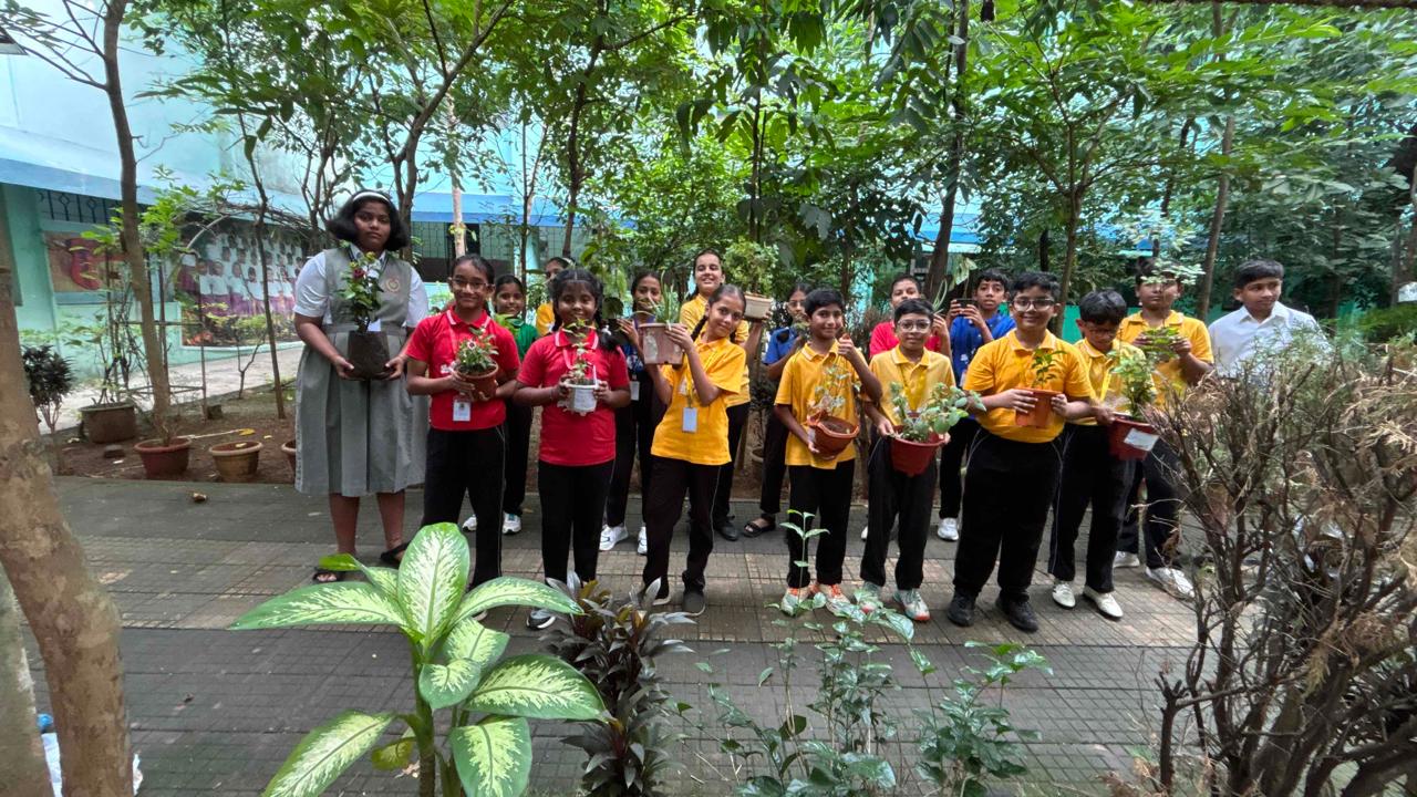 CAMPAIGN – TREE PLANTATION DRIVE